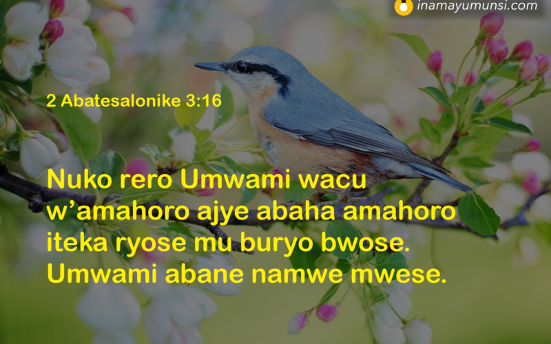 2 Abatesalonike 3:16 &rArr; Nuko rero Umwami wacu w’amahoro ajye abaha amahoro iteka ryose mu buryo ..