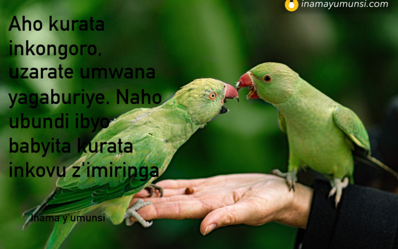 Amagambo amwe yahindura ubuzima bwawe