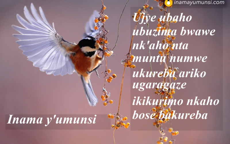 Inyungu wizera kubona zigutere gukomeza gukora mu gihe kigoye