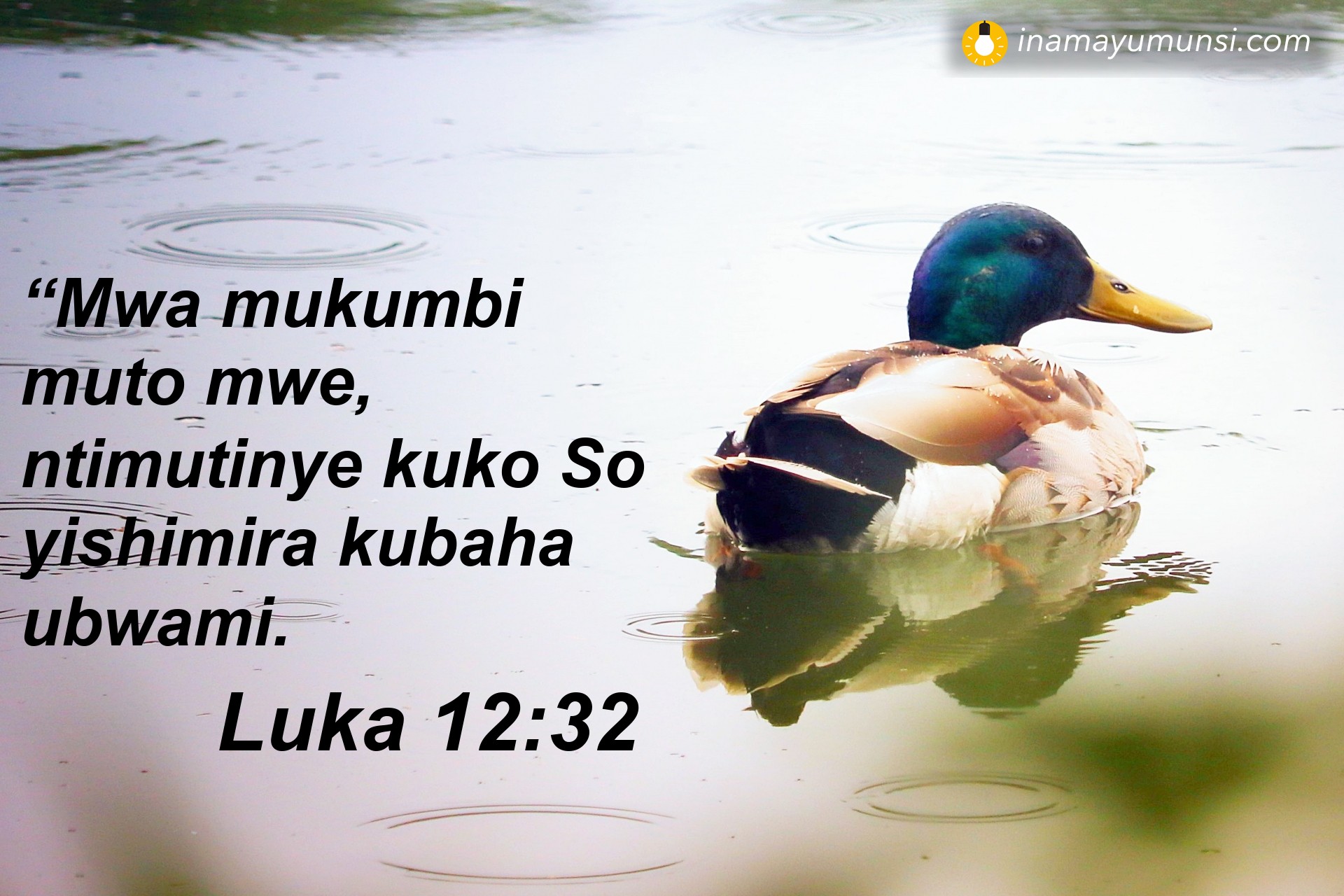 Luka 12:32 ⇒ “Mwa mukumbi muto mwe, ntimutinye kuko So yishimira kubaha ubwami.