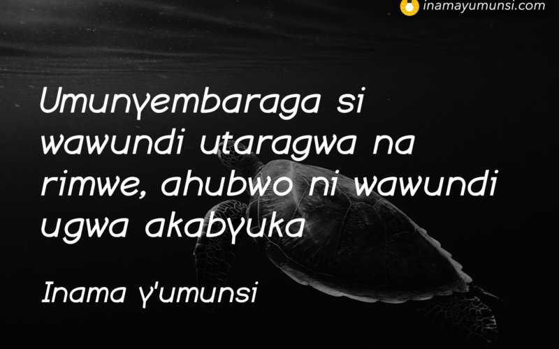 Mbere yo kwibaza ku musaruro ubonye uzasubize amaso inyuma urebe imbuto wateye