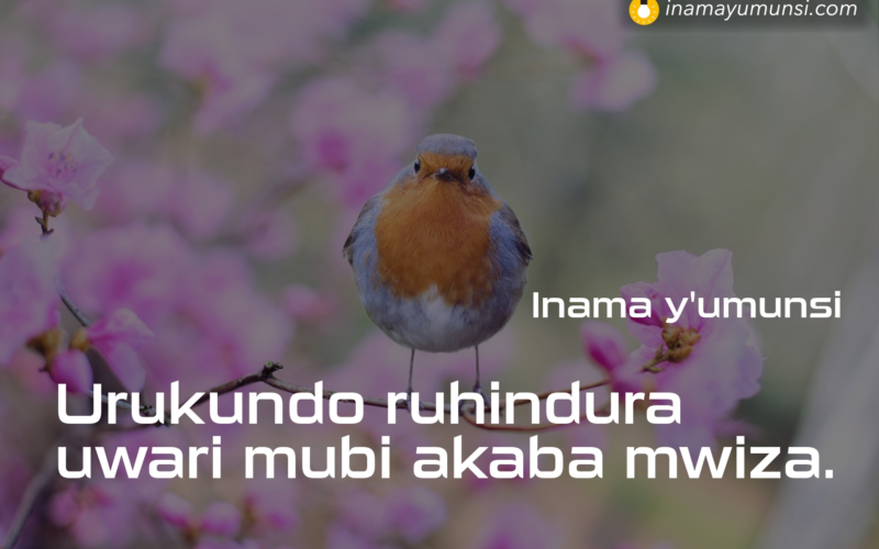 Urukundo ruhindura uwari mubi akaba mwiza.